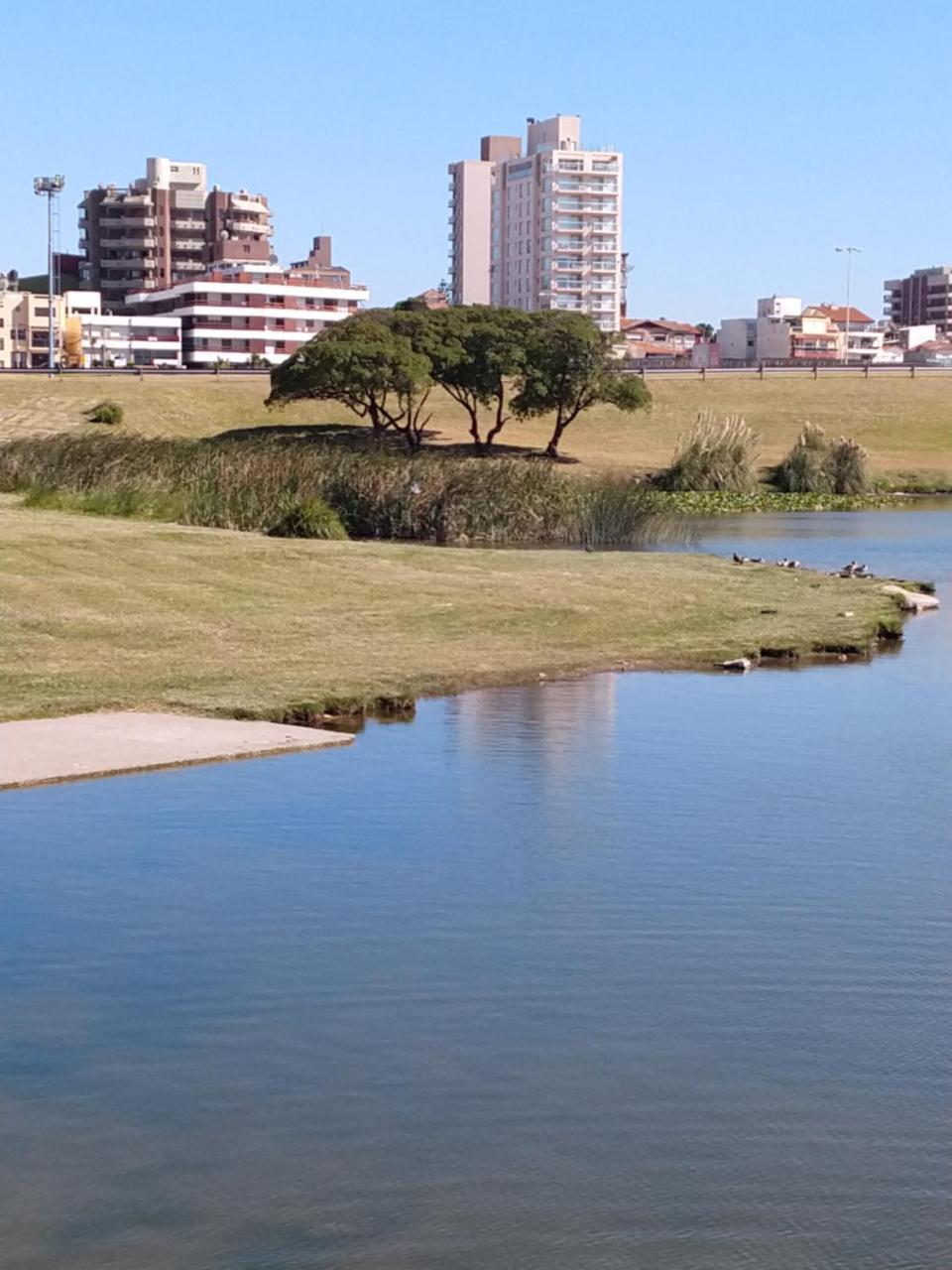 דירות מר דל פלאטה Edificio Juana Del Mar מראה חיצוני תמונה